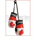 World Cup Boxing Gloves