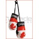 World Cup Boxing Gloves World Cup Boxing Gloves