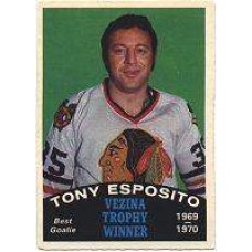 Tony Esposito: Goaltender
