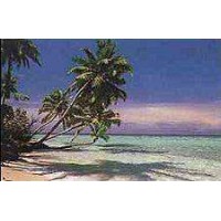 Tropical Beach Paradise