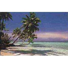 Tropical Beach Paradise