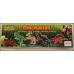 Dinosaurs Light & Sound 4 pack