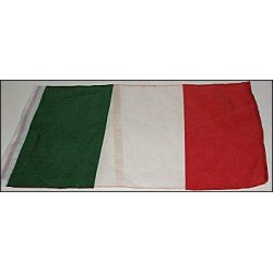 Italy Soccer Car Flag