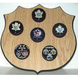 Leafs 6 Puck Shield