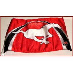 Calgary Stampeders Car Flag
