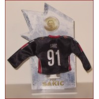 McDonalds 2006 Joe Sakic Mini Jersey (pre-owned)