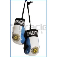 Argentina Soccer Boxing Gloves Argentina Soccer Boxing Gloves