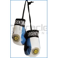 Argentina Soccer Boxing Gloves Argentina Soccer Boxing Gloves